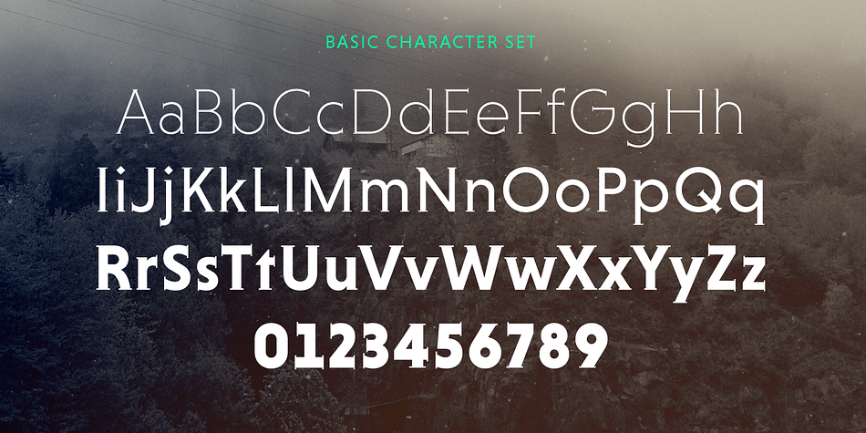 Displaying the beauty and characteristics of the Niveau Serif font family.