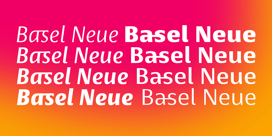 BOLD Basel