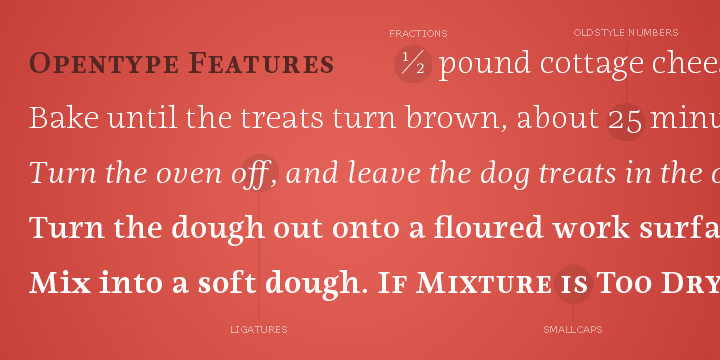Highlighting the Ninfa Serif font family.