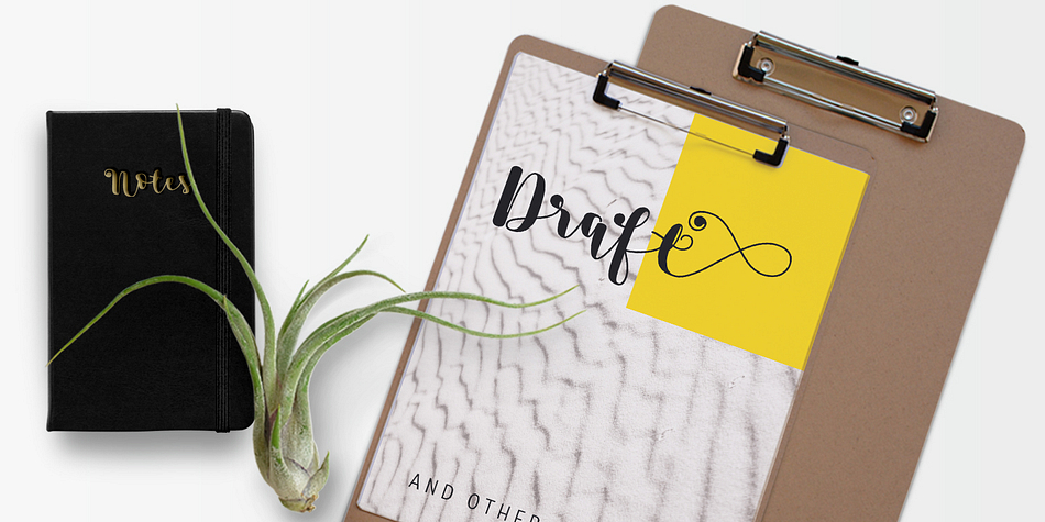 This allows for balance between strokes of different weight when it comes to the Sans and Script fonts.