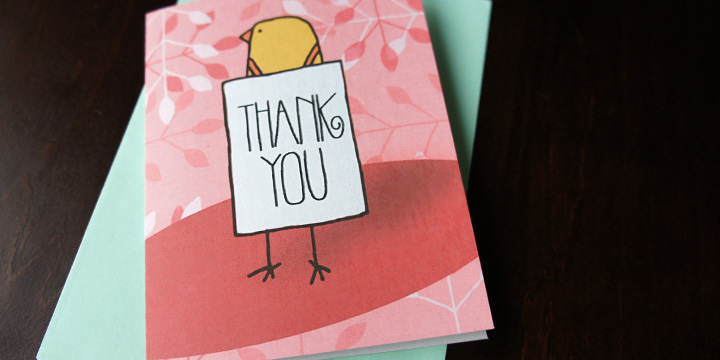 Card-O-Mat BuddyBirds brings more than 180 picture elements, comprising a pocketful of birds and handy adornments such as flowers, leaves, stars, clouds, speech bubbles and so on.