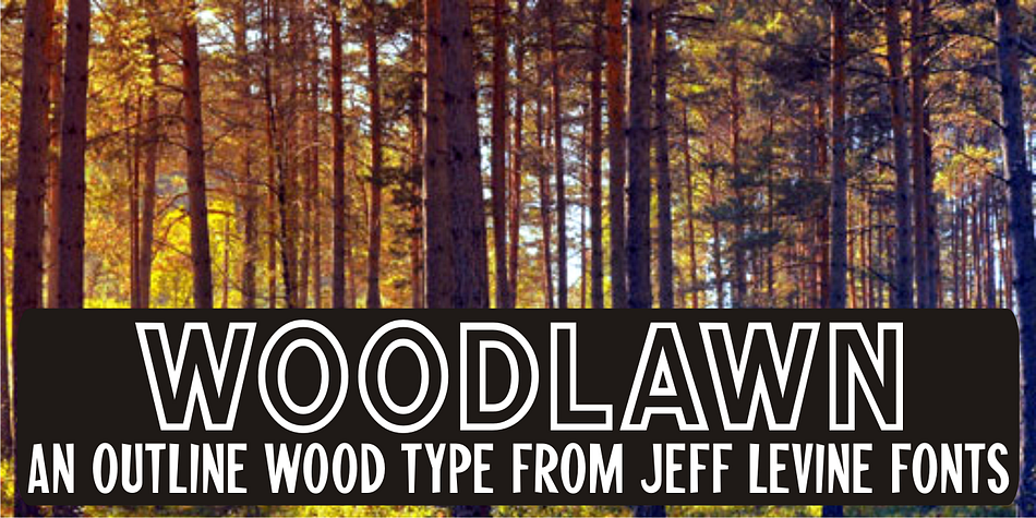 Woodlawn JNL is based on an open face wood type.