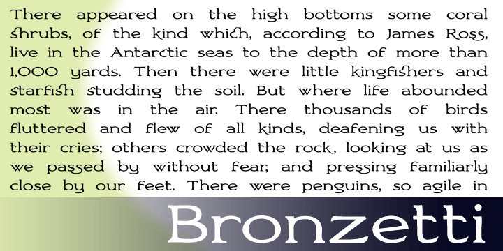 Emphasizing the favorited Bronzetti font family.