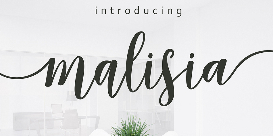 Introducing the latest font from Genesislab: Malisia Script.