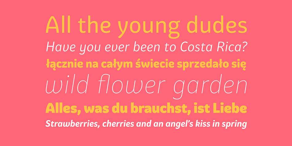 Emphasizing the favorited Graviola font family.