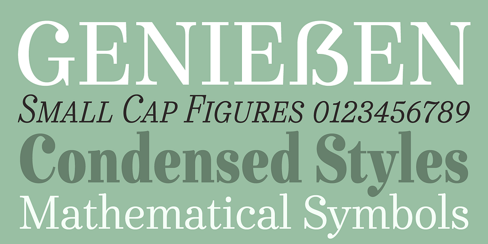 This sturdy footing really locks the italics to the baseline, making them very legible while still being distinct from the uprights.