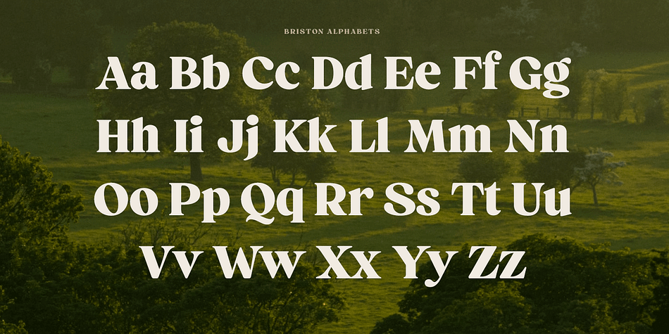 In addition Briston has a small set of ornaments and strokes that are found by turning on Swash -feature and typing characters 1-9.