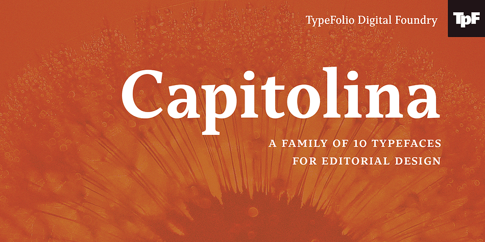 Capitolina is a family of 10 typefaces with a contemporary design style, based on different historical models.