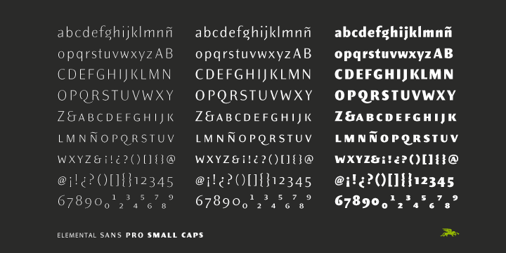Elemental Sans Pro font family example.