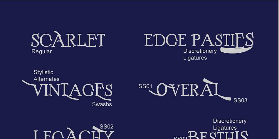 To enable the OpenType Stylistic alternates, you need a program that supports OpenType features such as Adobe Illustrator CS, Adobe Indesign & CorelDraw X6-X7, Microsoft Word 2010 or later versions.