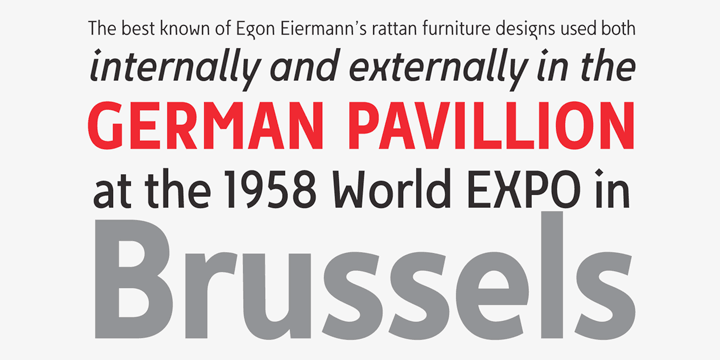 Displaying the beauty and characteristics of the Egon Sans Cond font family.