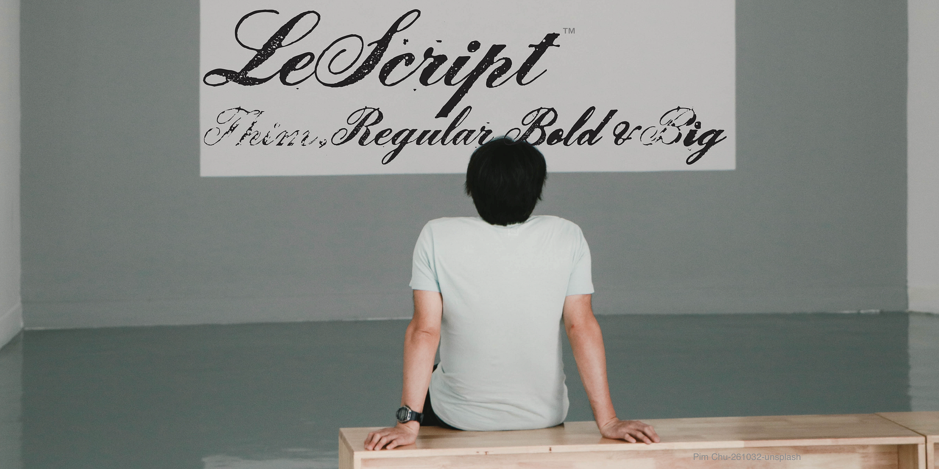 LeScript