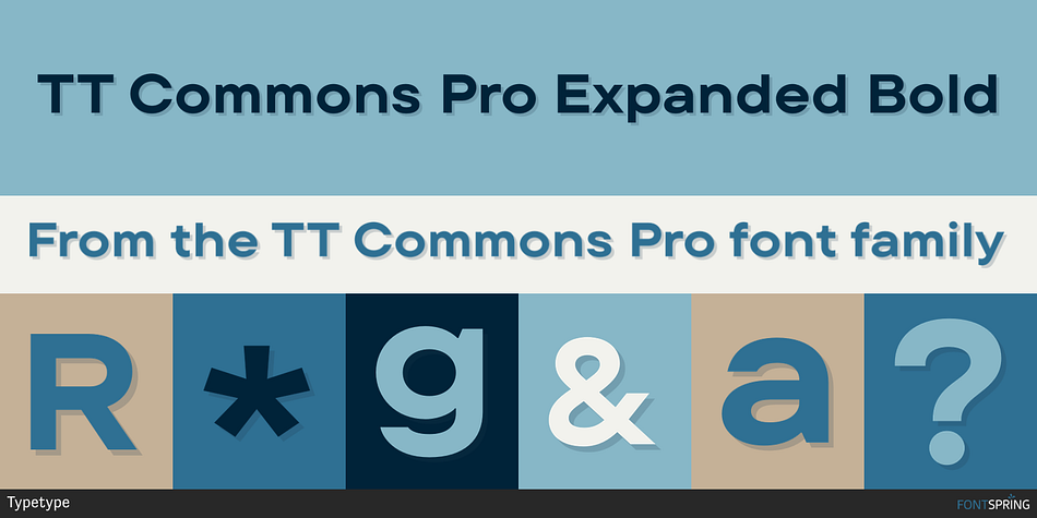 TT Commons Pro Expanded Bold Font