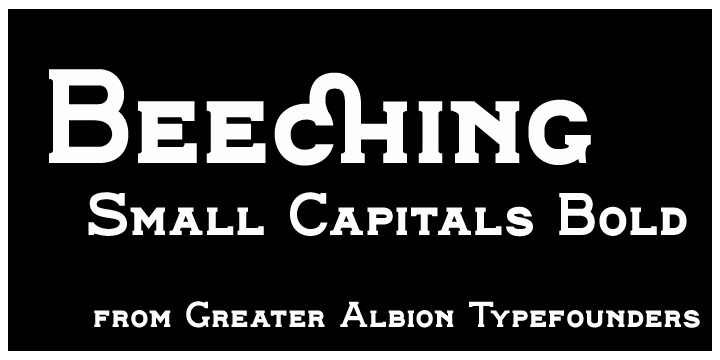 We feel the family provides a clear demonstration that traditional details, such as serifs and ligatures serve to enhance legibility.