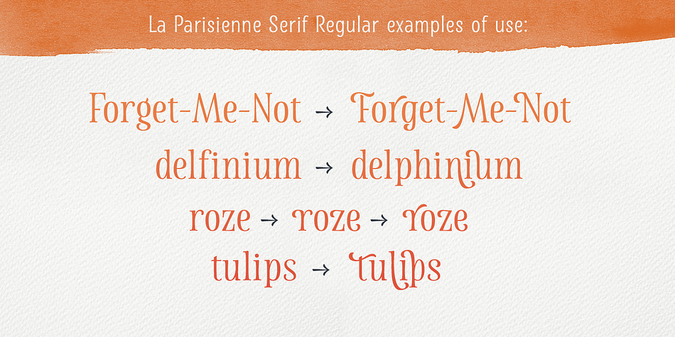 Displaying the beauty and characteristics of the La Parisienne font family.
