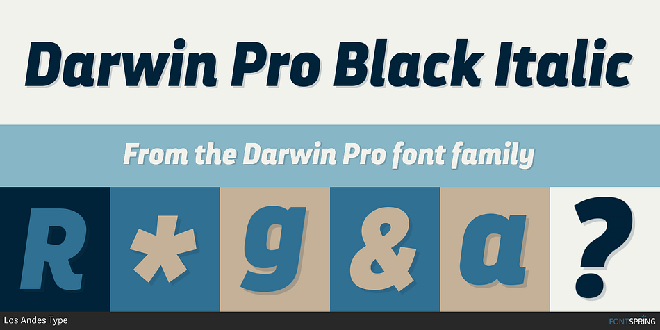 Darwin Pro Black Italic Font