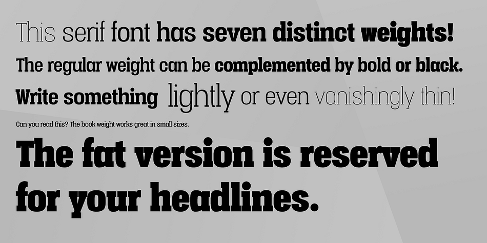 Displaying the beauty and characteristics of the Vacer Serif font family.
