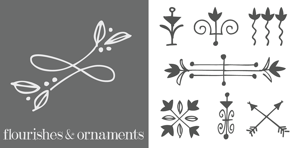 Displaying the beauty and characteristics of the Flourishes and Ornaments font family.