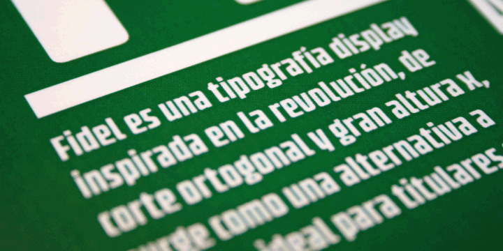 Fidel font family sample image.