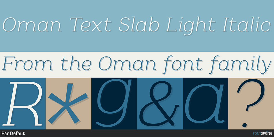 Oman Text Slab Light Italic Font