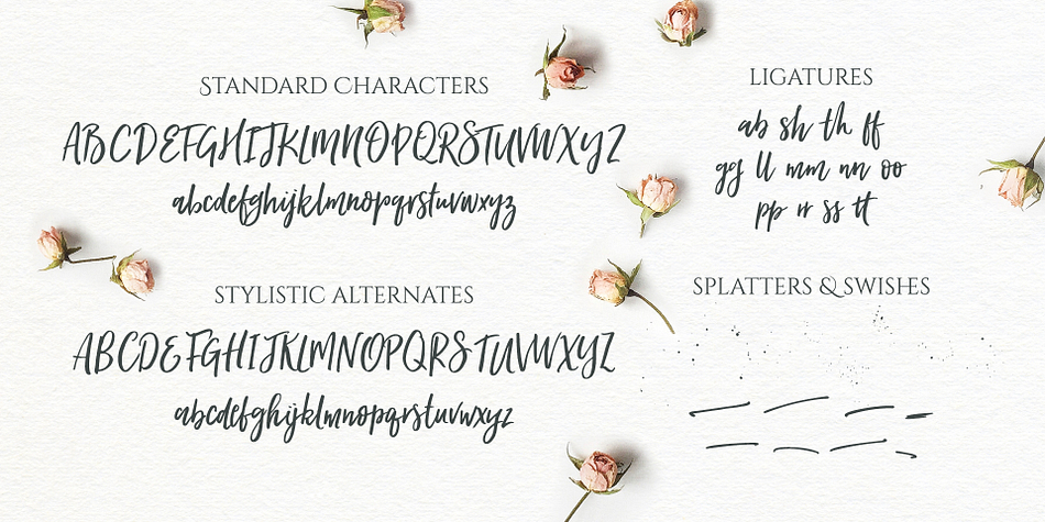 Emphasizing the favorited Forever Soulmates font family.