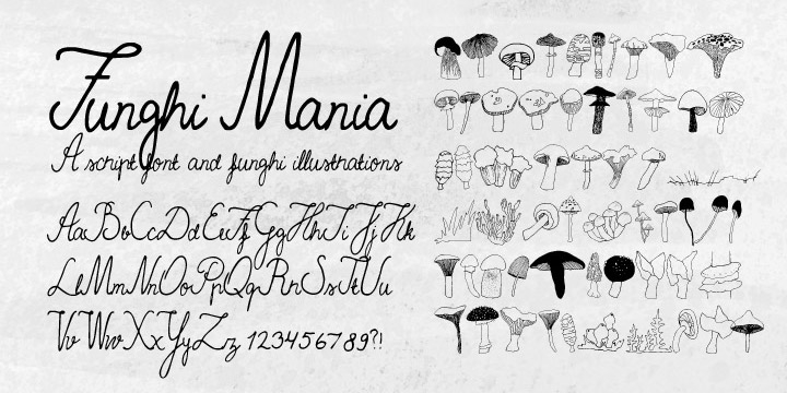 Highlighting the Funghi Mania font family.