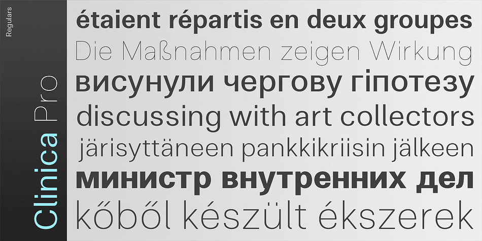 It features 8 weights, italics, 6 sets of figures, small caps and a bunch of ligatures.
