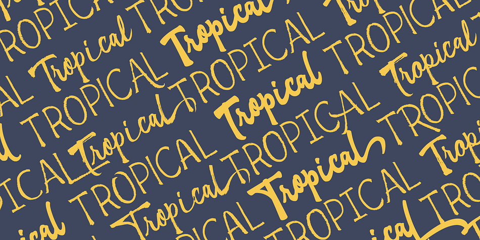 Tropical is designed by Alejandro Paul and Joluvian, OpenType features include Stylistic Alternates and Standard Ligatures and has extensive Latin language support.