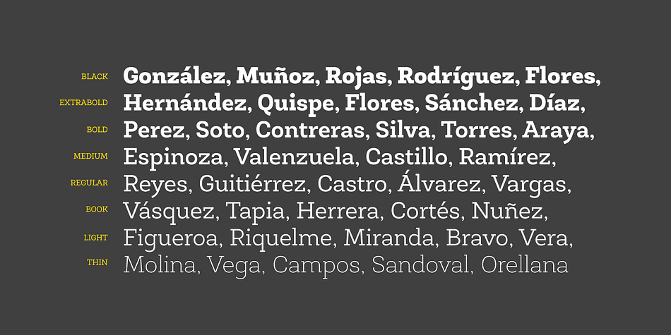 Emphasizing the popular Newslab font family.