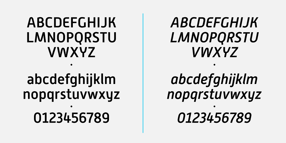 Highlighting the Alwyn New font family.