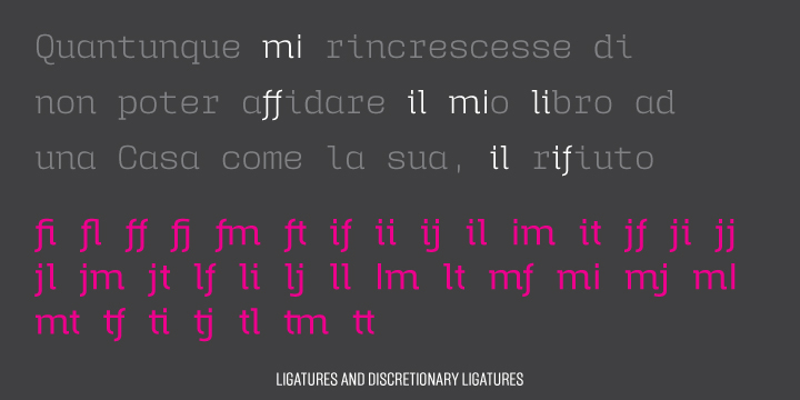 The desire for keeping a comfortable readability in User was one of the key elements, therefore we designed several ligatures that fit both single and double space width, allowing to maintain a certain idea of proportional design.