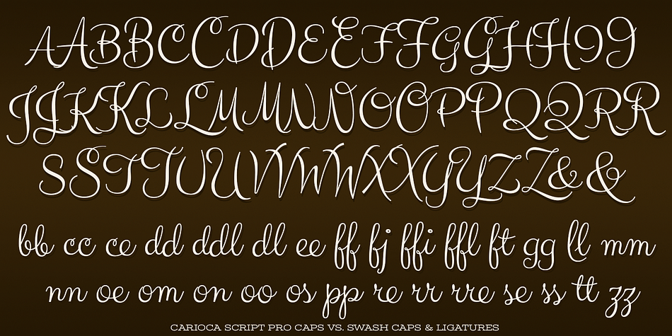 Displaying the beauty and characteristics of the Carioca Script Pro font family.