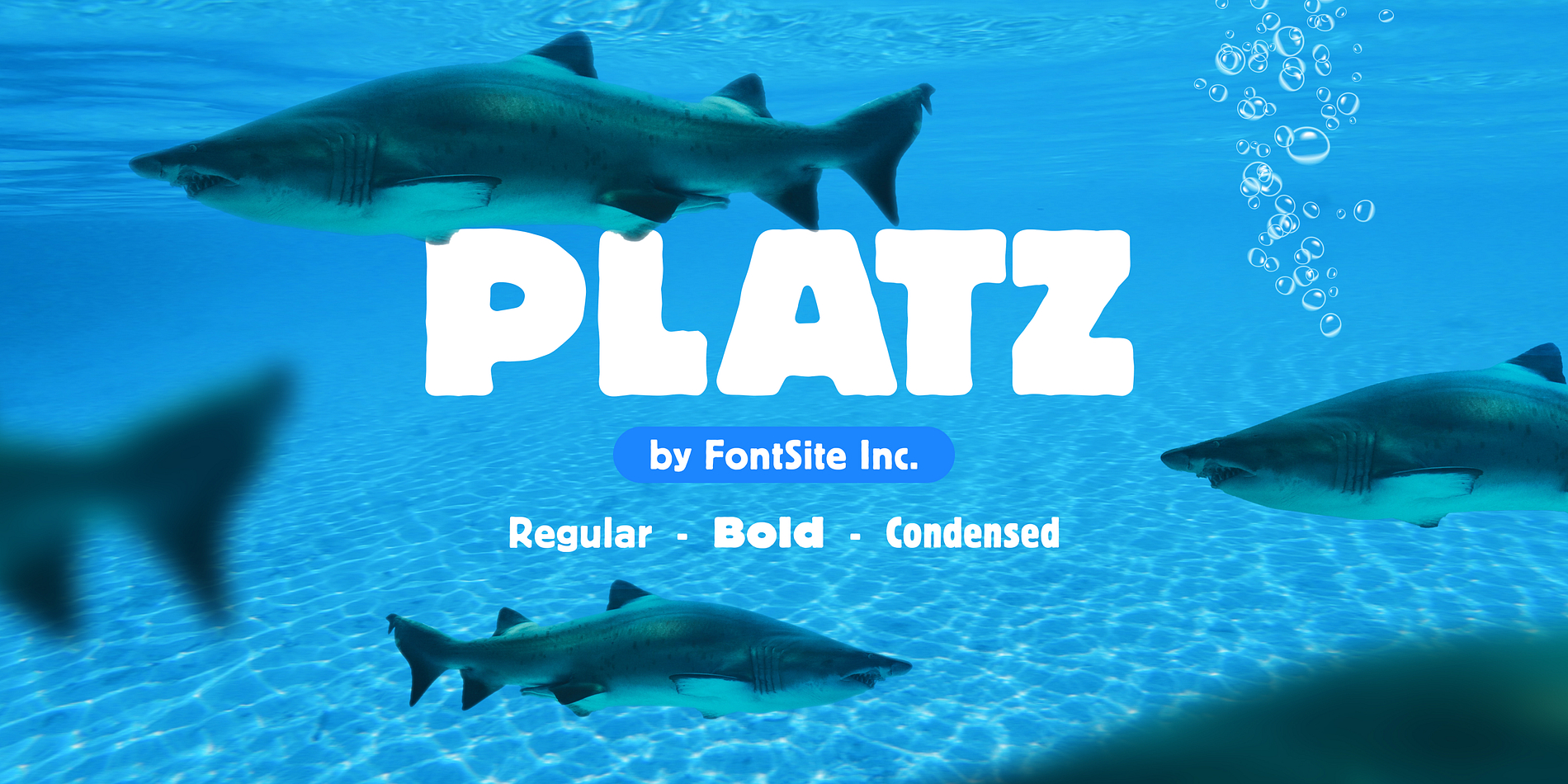 Platz