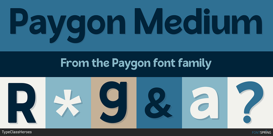Paygon Medium Font
