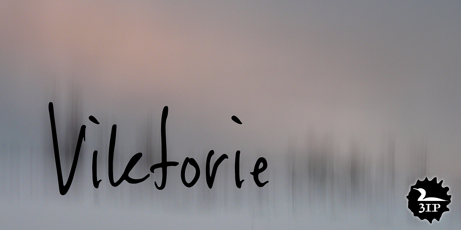 Not too neat and not too messy, Viktorie might easily be mistaken for the handwriting of a note-taker in a hurry: it looks swiftly jotted down.