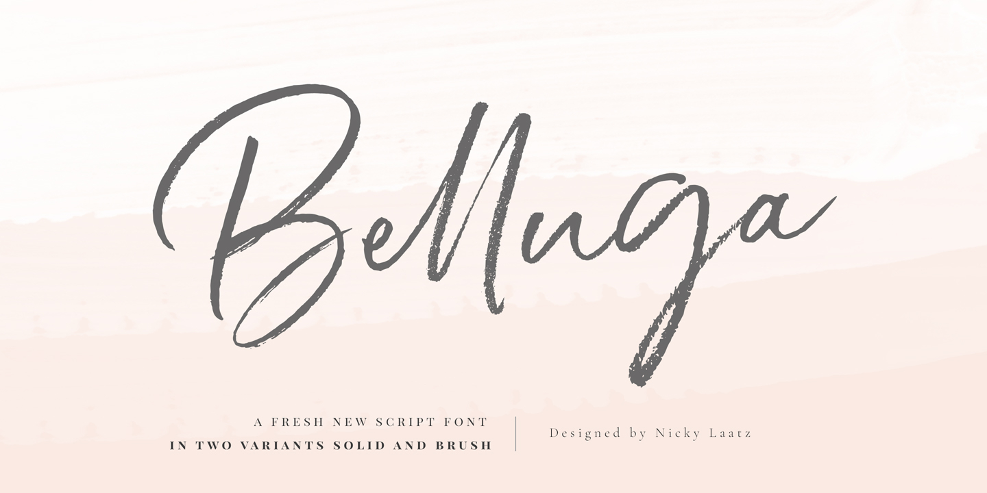 Belluga