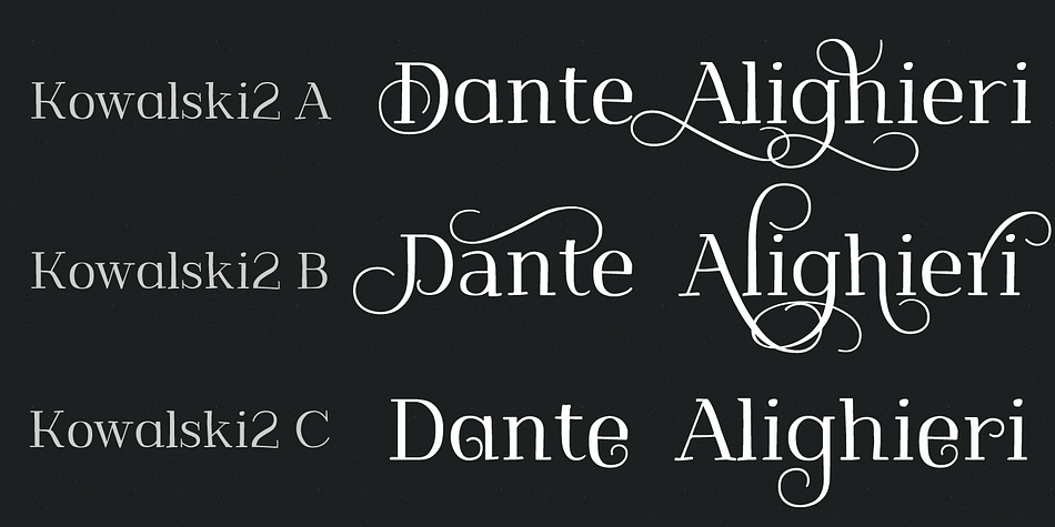 Kowalski2 Pro  is the most complete style, it contains all the alternates and ligatures.