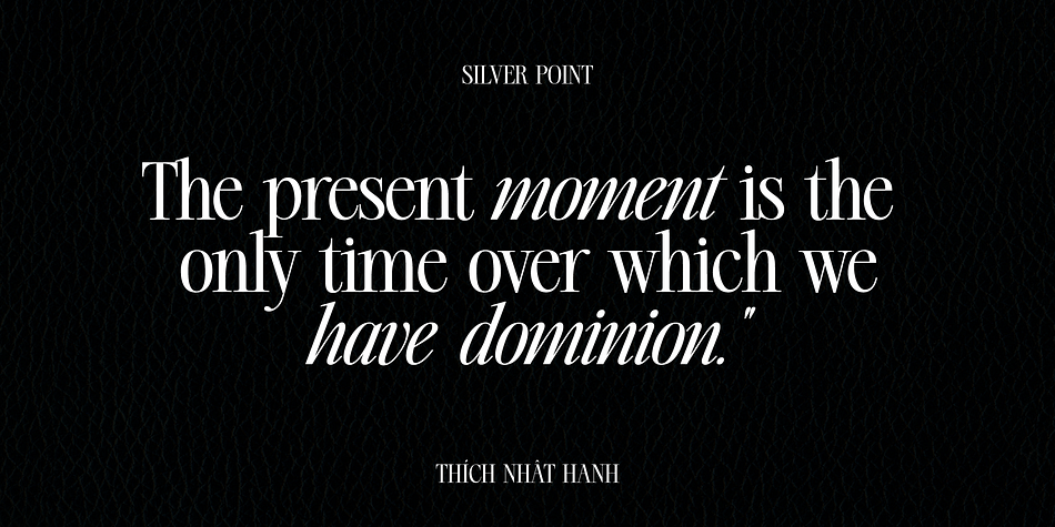 Silver Point Font