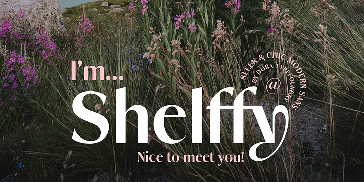 Shelffy font family by Dora Typefoundry