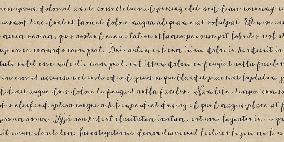 Dasha has good Latin language support and features an extra dingbat font.