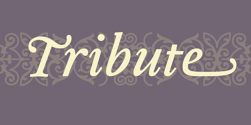 Displaying the beauty and characteristics of the Tribute font family.