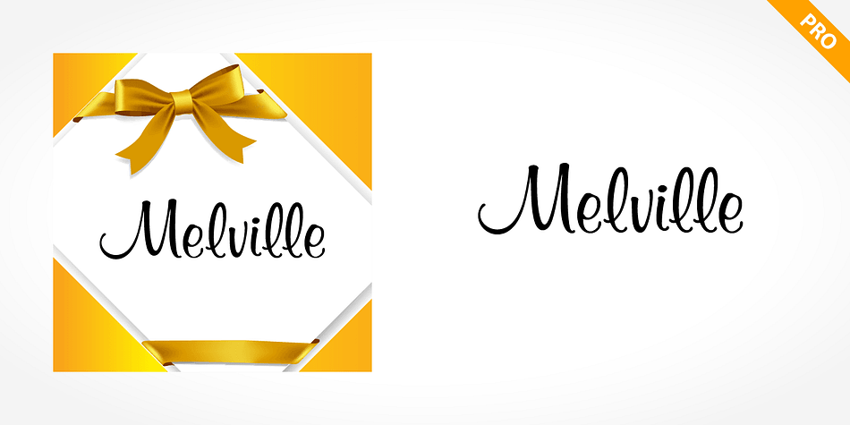 Displaying the beauty and characteristics of the Melville Pro font family.
