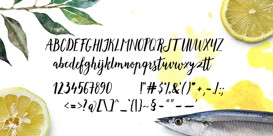 Highlighting the Lemonfish font family.