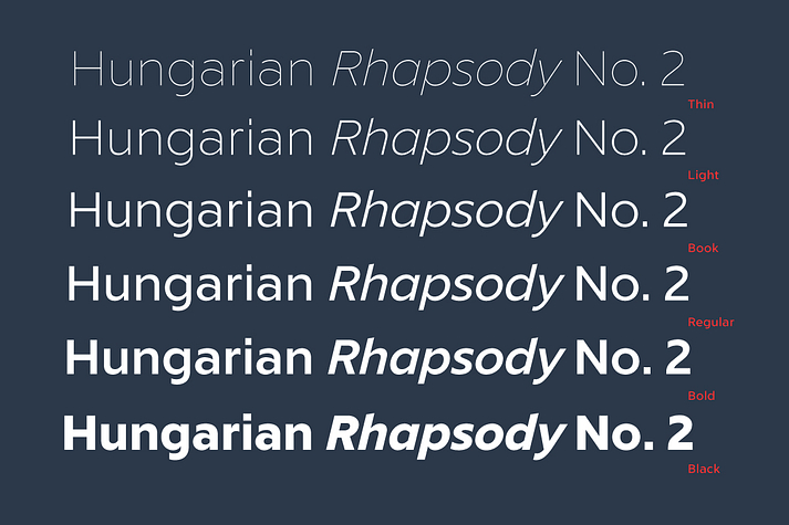Displaying the beauty and characteristics of the Liszt FY font family.