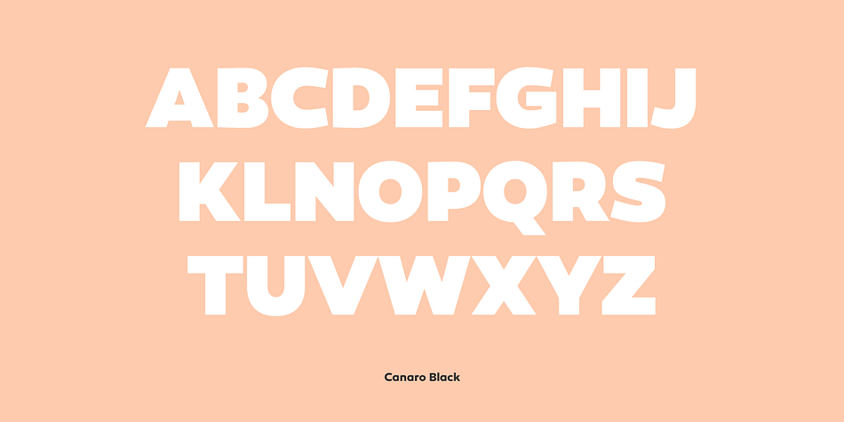 In addition, the open shapes in combination with a tall x-height, create legibility in small text sizes.
