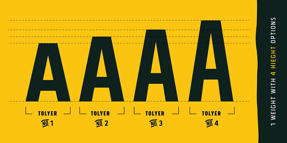 Emphasizing the favorited Tolyer font family.