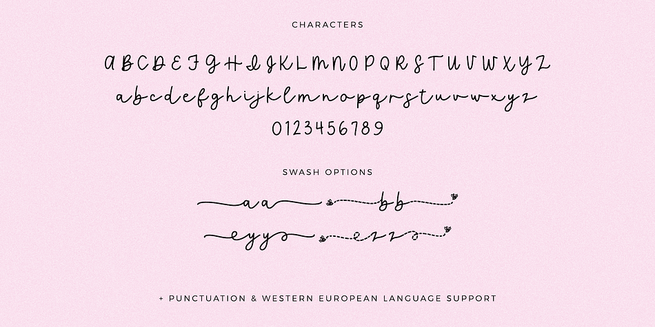 Queen Bee Script Font