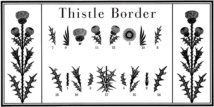 Thistle Borders are yet another “trouvaille”.