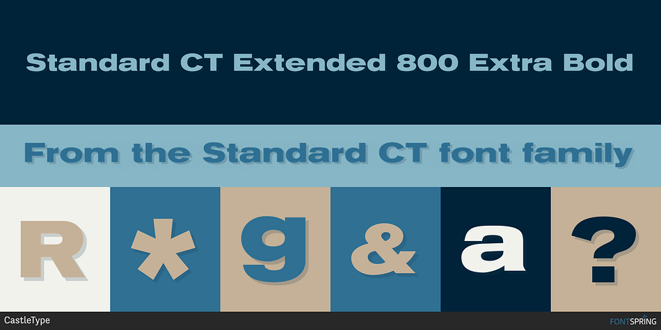 Standard CT Extended 800 Extra Bold