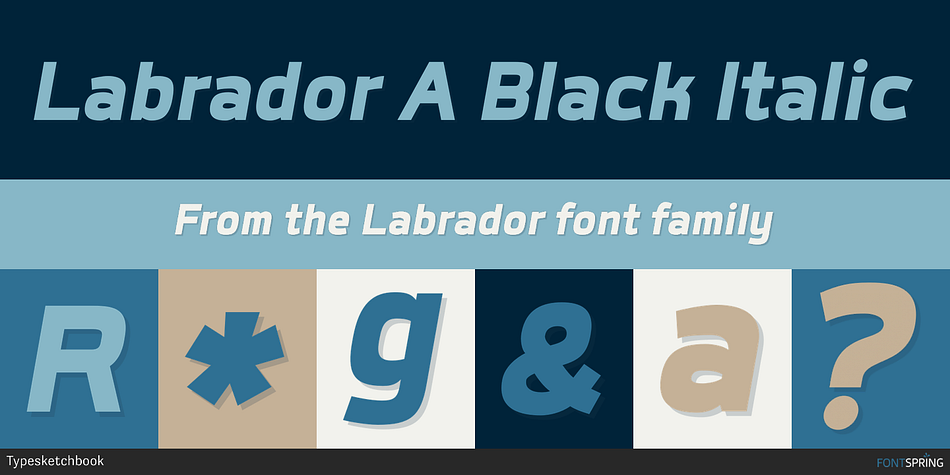 Labrador A Black Italic Font